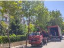 PLUSS Konya Ev Taşıma Evden Eve Nakliyat