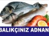 BALIKCINIZ ADNAN