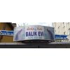 DENİZ KIZI BALIK