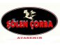 ŞÖLEN ÇORBA, ATAŞEHİR