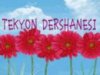 TEKYÖN DERSHANESİ