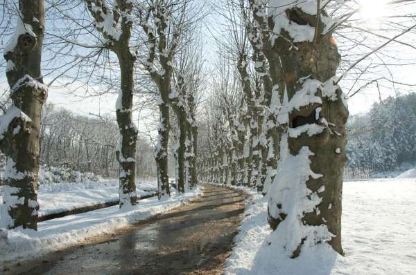 BEYKOZ KIŞ MANZARALARI