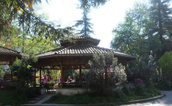 Rize-Trabzon-Karadeniz