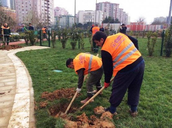 Meriç Caddesi Parkı Ağaçlandırma Çalışması