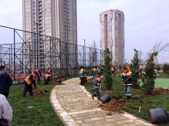 Meriç Caddesi Parkı Ağaçlandırma Çalışması