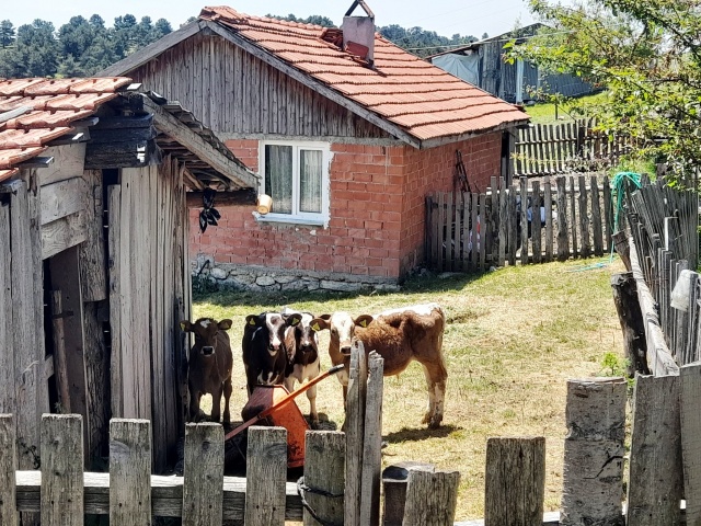 TARAKLI, KARAGÖL YAYLASI
