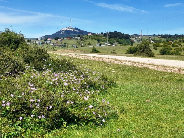 TARAKLI, KARAGÖL YAYLASI