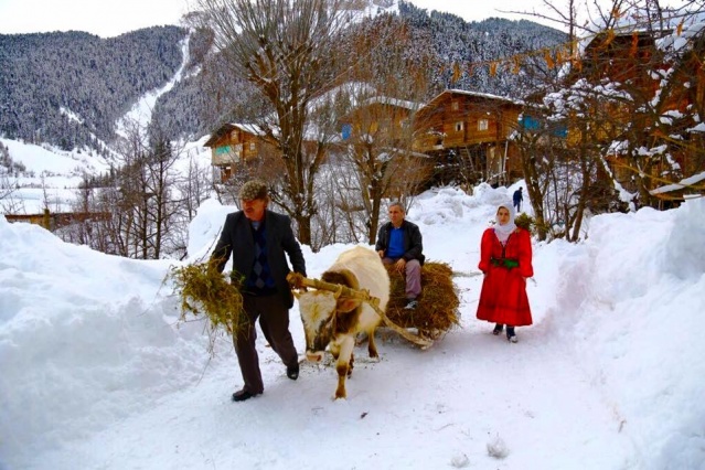 Artvin Kış Manzaraları 2016