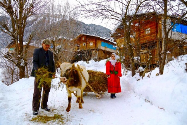 Artvin Kış Manzaraları 2016
