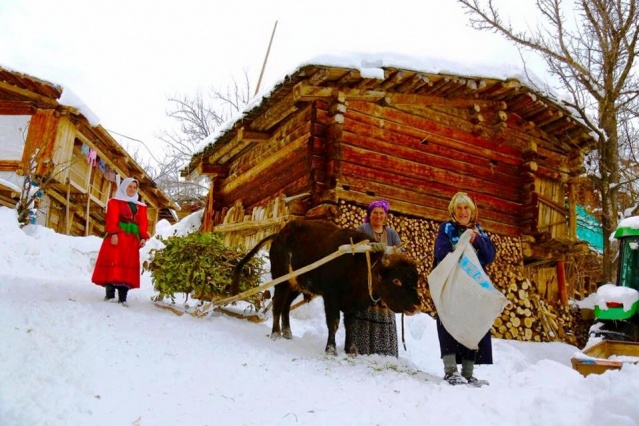 Artvin Kış Manzaraları 2016