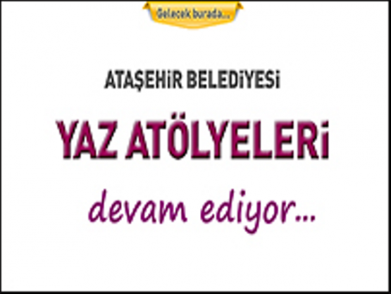 Ataşehir Belediyesi Yaz Okulları, 2014