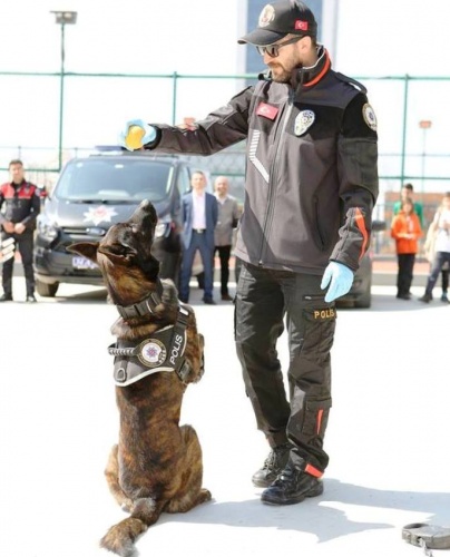 Polis Haftası Etkinliği, Ataşehir Emlak Konut Ortaokulu, 2017