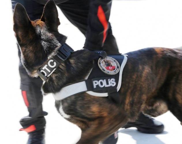 Polis Haftası Etkinliği, Ataşehir Emlak Konut Ortaokulu, 2017