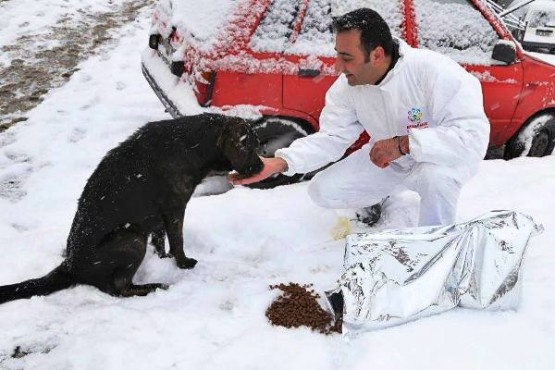 Ataşehir Belediyesi Kar çalışmalarını sürdürüyor