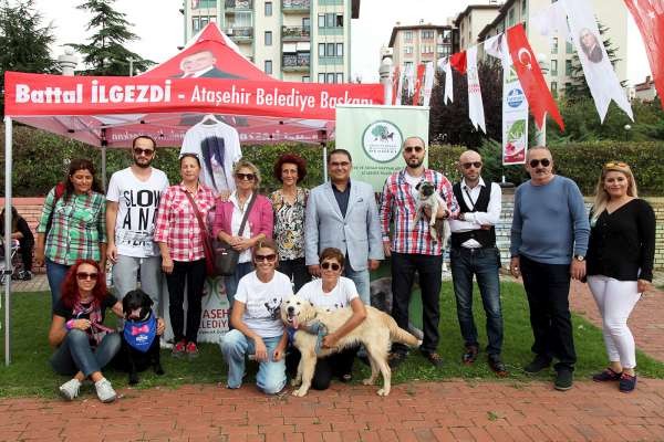 Hayvanseverler Ataşehir Kamelya Parkta Buluştu