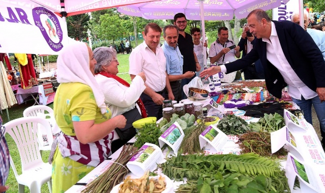 ATAŞEHİR IHLAMUR FESTİVALİ