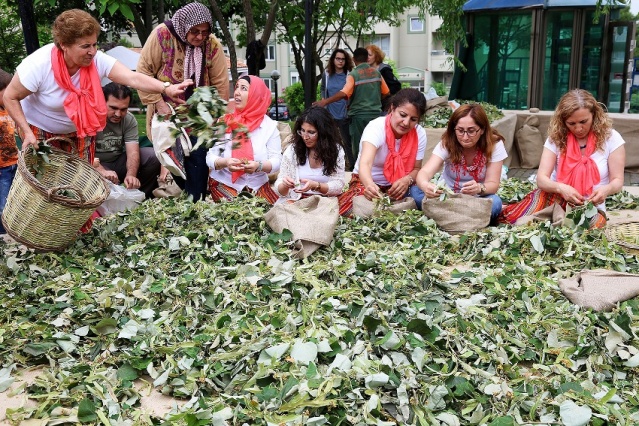 ATAŞEHİR IHLAMUR FESTİVALİ