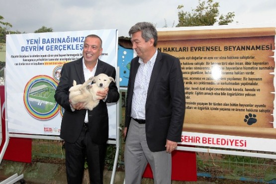 Ataşehir Sokak Hayvanlarına Sahip Çıkıyor