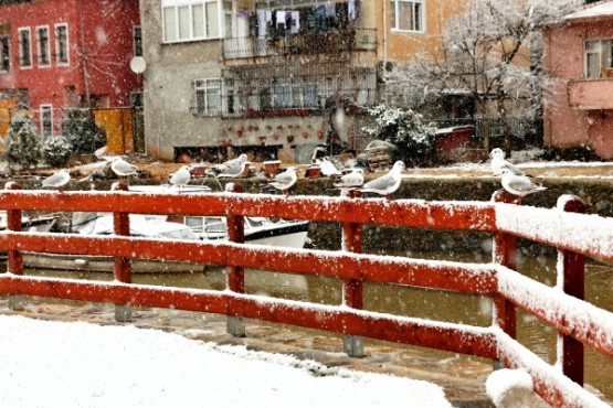 Beykoz Kış Manzaraları 2015