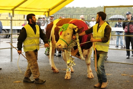 Beykoz Kurbanken Fotoları 2014