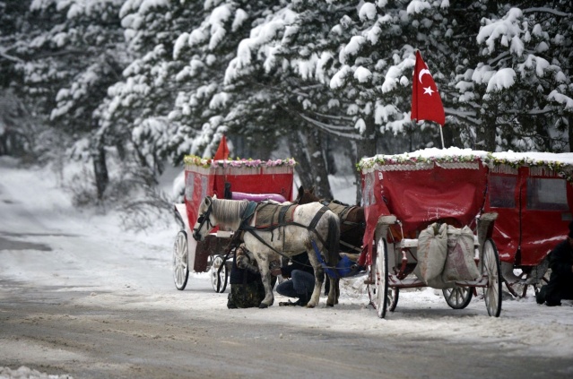 Bolu Kış Manzaraları 2015