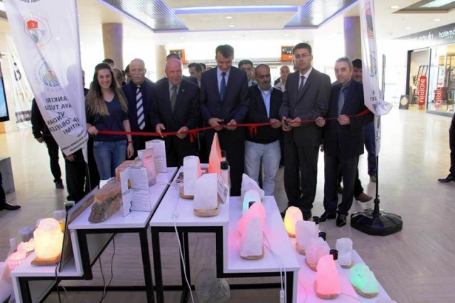 Çankırı Kaya Tuzu ve tuz Lambası Çeşitleri