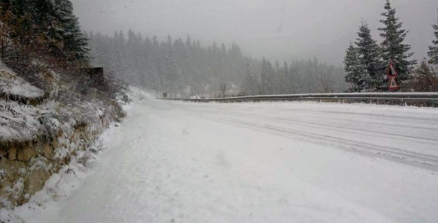 Ilgaz Kış Manzaraları 2015