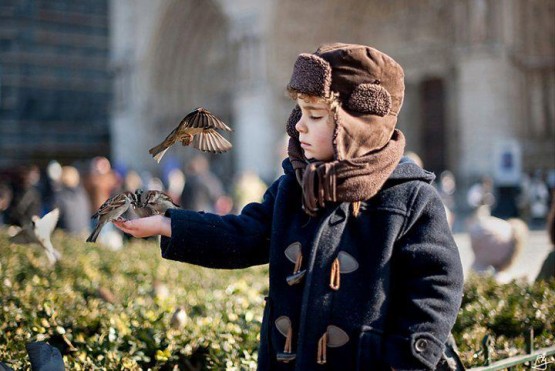 HAYVAN FOTOĞRAFLARI 2012