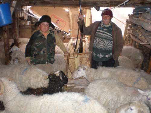 ÇÖREKÇİLER KÖYÜ 2009 