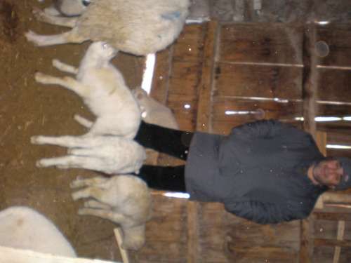 ÇÖREKÇİLER KÖYÜ 2009 