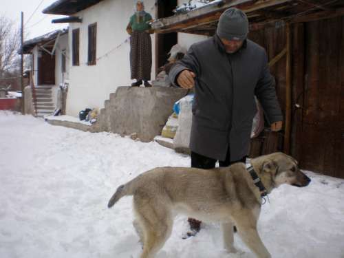 ÇÖREKÇİLER KÖYÜ 2009 
