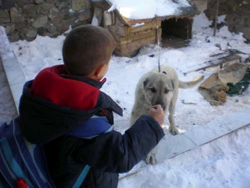 ÇÖREKÇİLER KÖYÜ 2009 