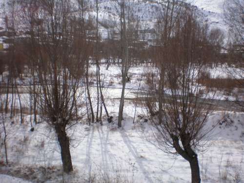 ÇÖREKÇİLER KÖYÜ 2009 