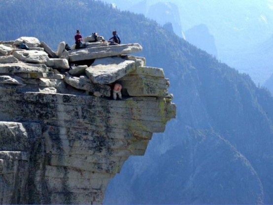 İLGİNÇ FOTOĞRAFLAR 2012