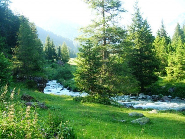 Doğa Manzaraları 2016