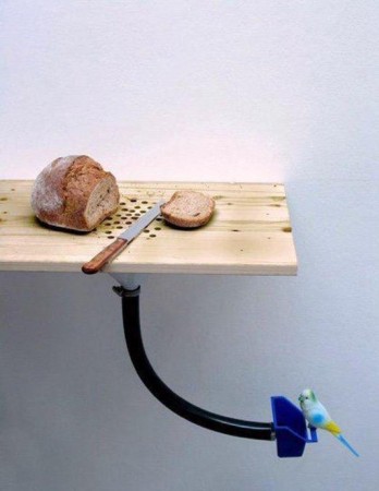 İLGİNÇ FOTOĞRAFLAR 2012