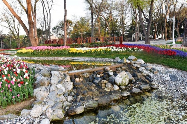 İstanbul, Emirgan, Lale Festivali 2016