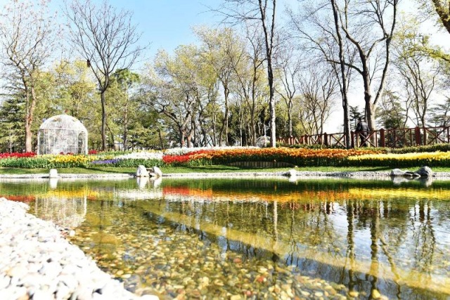 İstanbul, Emirgan, Lale Festivali 2016
