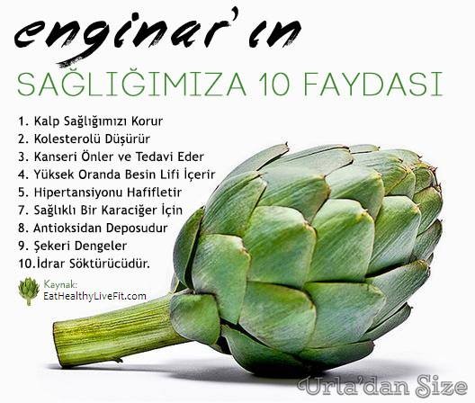 Enginar Fotoları 2015