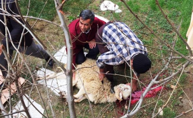 Ensar Vakfı, Ataşehir Erkek Öğrenci Yurdu Açılışı, 2018
