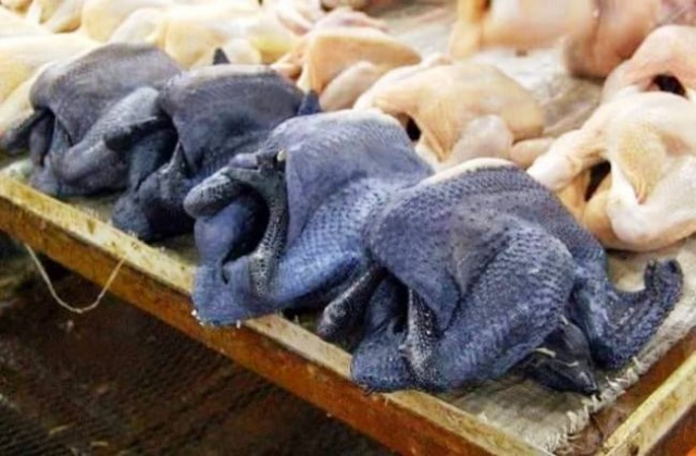 Eti, Yumurtası Siyah, Kara Tavuk, Ayam Cemani,
