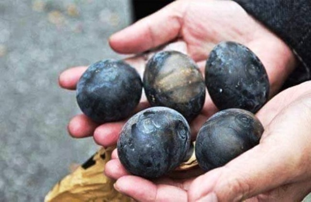 Eti, Yumurtası Siyah, Kara Tavuk, Ayam Cemani,