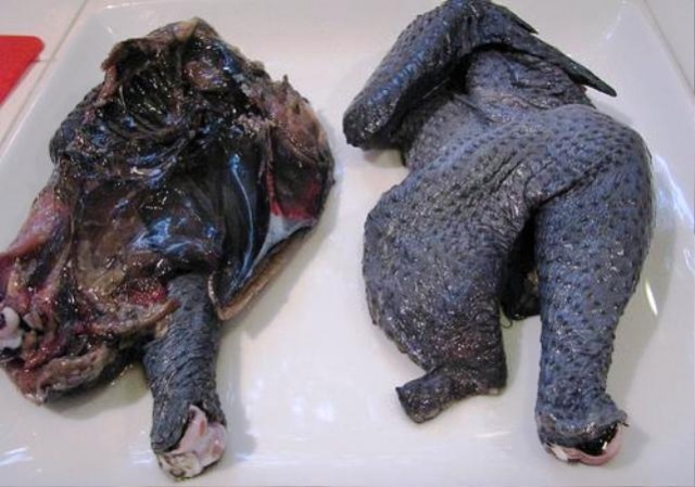 Eti, Yumurtası Siyah, Kara Tavuk, Ayam Cemani,