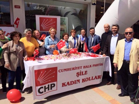 Gamze Akkuş İlgezdi Şile CHP Milletvekili Seçim Çalışması 2015