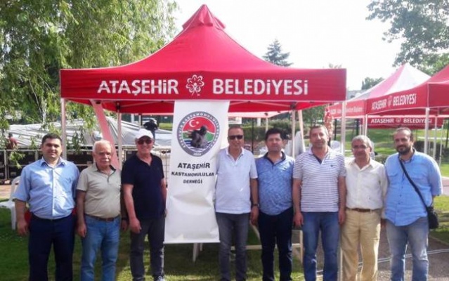 ATAŞEHİR IHLAMUR FESTİVALİ