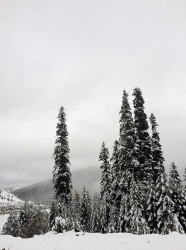 Ilgaz Kış Manzaraları 2015