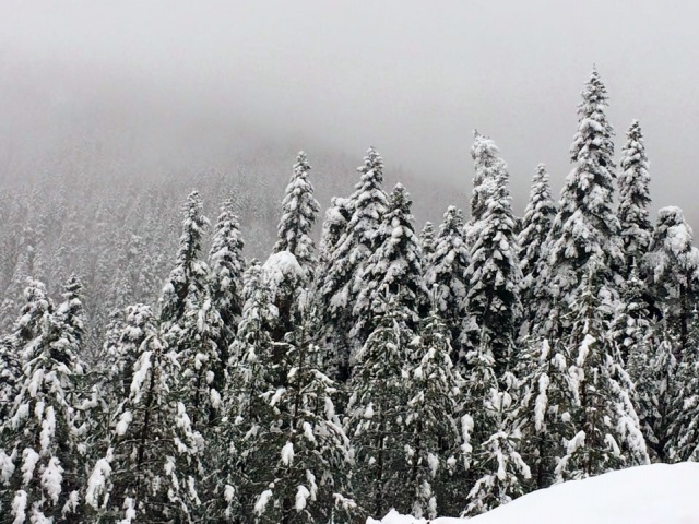 Ilgaz Kış Manzaraları 2015