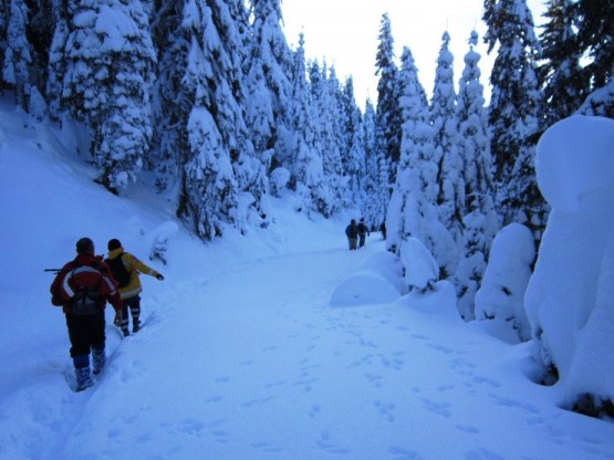 Ilgaz Küçükhaçet Tırmanışı, 2015