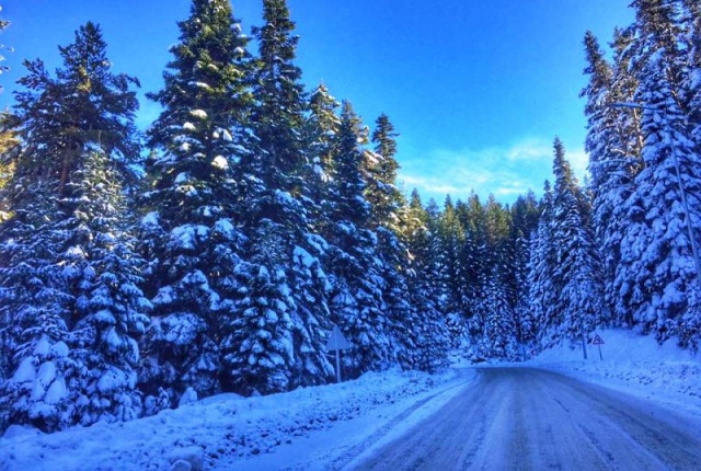 Ilgaz Kış Turizmine Hazırlanıyor 2016
