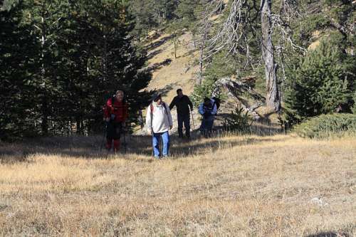 VII ILGAZ KÜÇÜKHACET TIRMANIŞI
